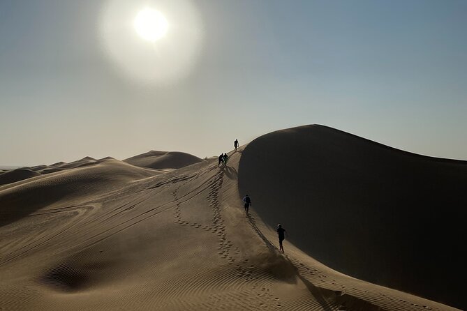 2-Day Overnight Desert Experience - Leaving Salalah for frankincense country