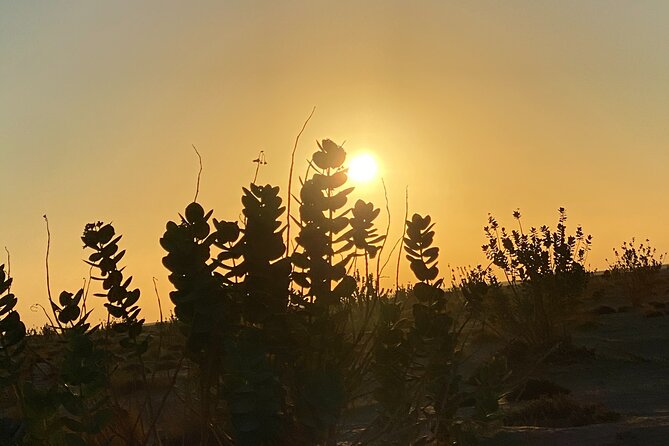 2-Day Overnight Desert Experience - What the $370 price really buys