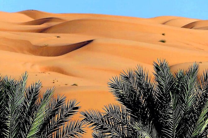 2-Day Private Wahiba Sands Desert Camping Tour from Muscat - Day two starts with a Bedouin house visit