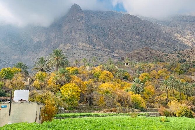 2 Days 1 Night Wakan Private Tour - Al Rustaq Fort and the old capital