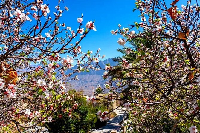 2 Days 1 Nights Private Trip to Wakan - Day 1: Nakhal Fort and the warm waters of Al Thowarah