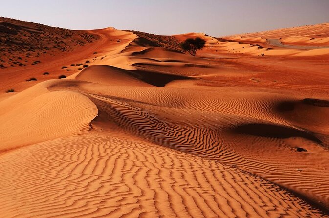 2 Days and 1 Night Private Wahiba Sands Desert Tour - Key points to know before booking