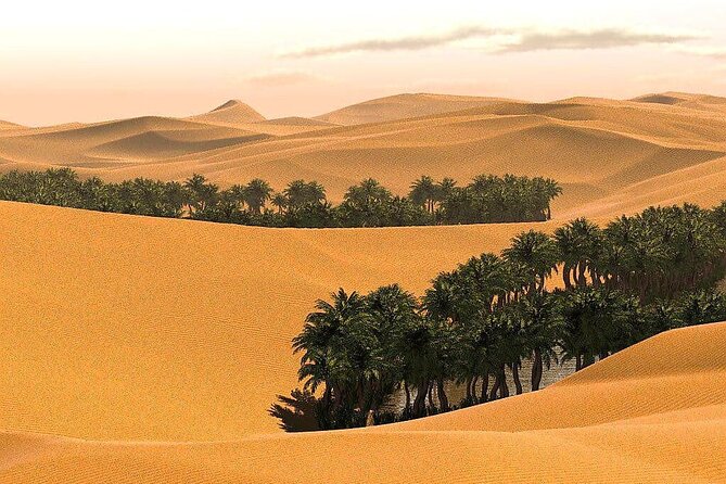 2 Days and 1 Night Private Wahiba Sands Desert Tour - A night at the desert camp