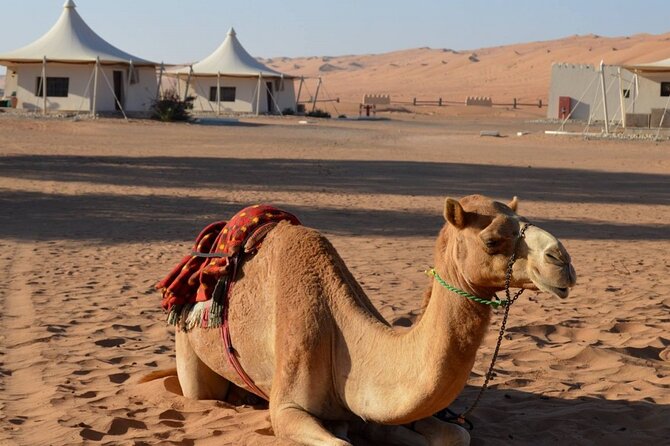 2 Days Desert Adventure Package - Muqal Cave and the Water of Wadi Bani Khalid