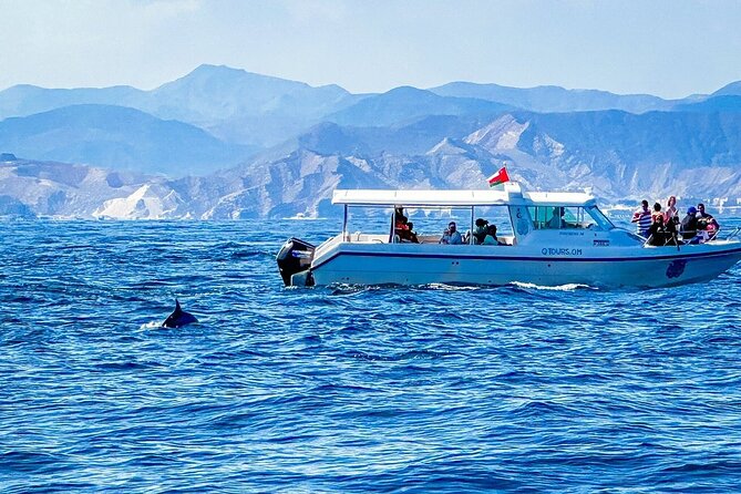 2 Hour Dolphin Watching Experience in Muscat - Who should book this dolphin trip?