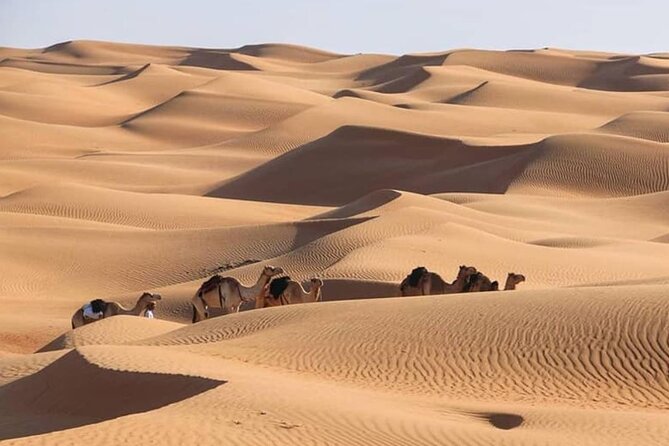 3-Days Private Tour in Oman with Pick Up - Why the private format matters