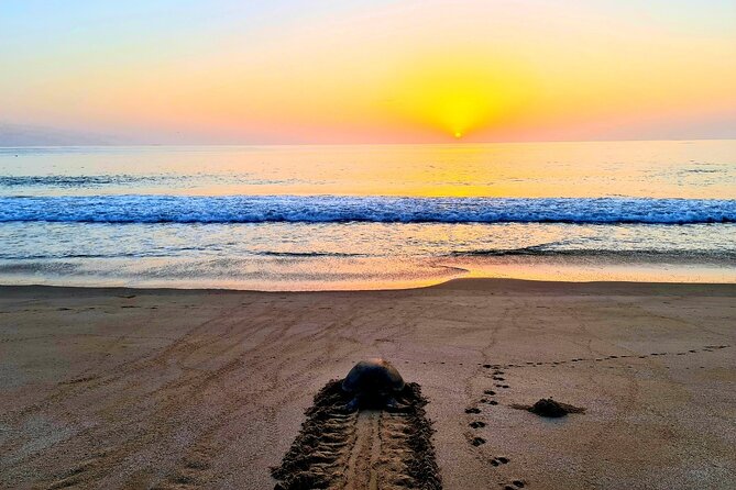 3-Days Private Tour in Oman with Pick Up - Who should book this three-day Oman tour