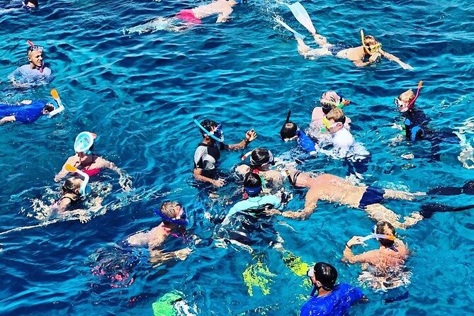 3 Hour Snorkeling and Dolphin Watching Experience in Muscat - Key points at a glance