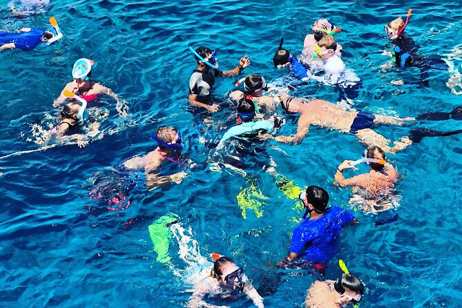 3-Hr Private Snorkeling and Dolphin Watching Tour at Muscat - Who should choose this three-hour outing?