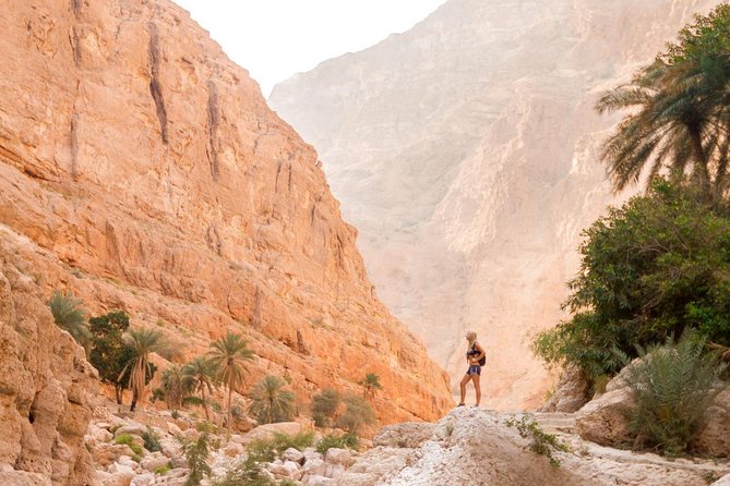 5 Days Package TOUR DINA - Day Four: Nizwa Souq, Nizwa Fort, and the High Country