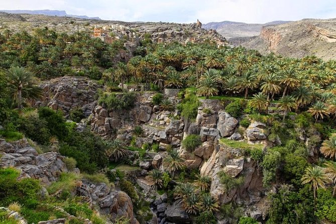 5 Days Package TOUR DINA - Day Five: The Mountain Road into Wadi Bani Awf