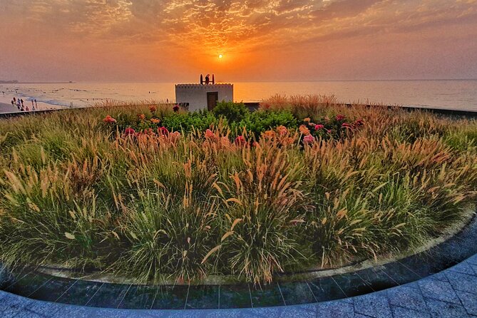 5 Hours Private Tour in Muscat City - Qurum Park and the value of a flexible final stop