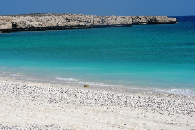 6-Day Latifa Package Tour - Day 2: Sur’s boats, Wadi Bani Khalid, and Wahiba Sands