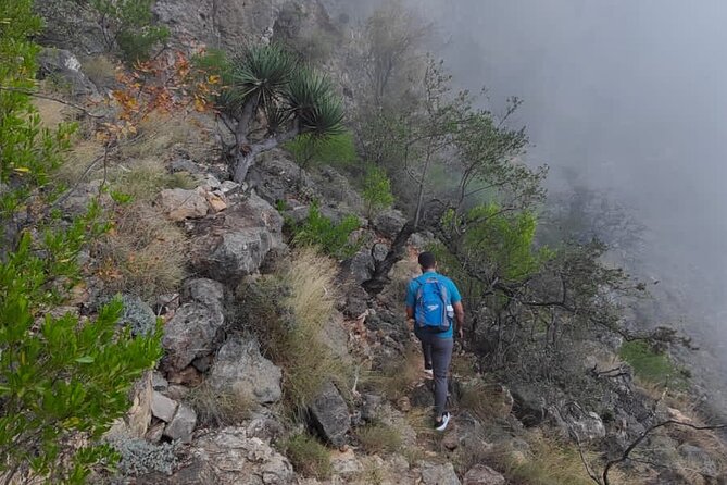 6 Hours Private Hiking in Salalah Mountains - What the private format gives you