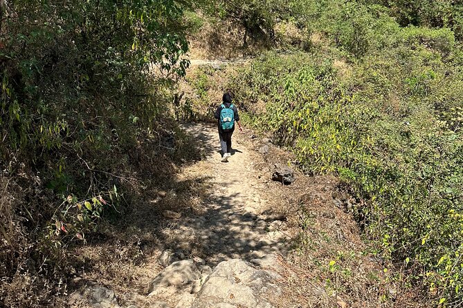 6 Hours Private Hiking in Salalah Mountains - Transport, snacks, and the six-hour schedule