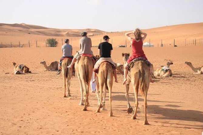 7-8 Hours Private Desert Adventure Trip with Activities - Why the private format helps