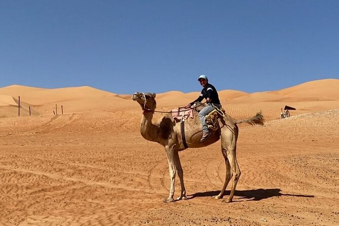7-8 Hours Private Desert Adventure Trip with Activities - Camel riding and Bedouin connections