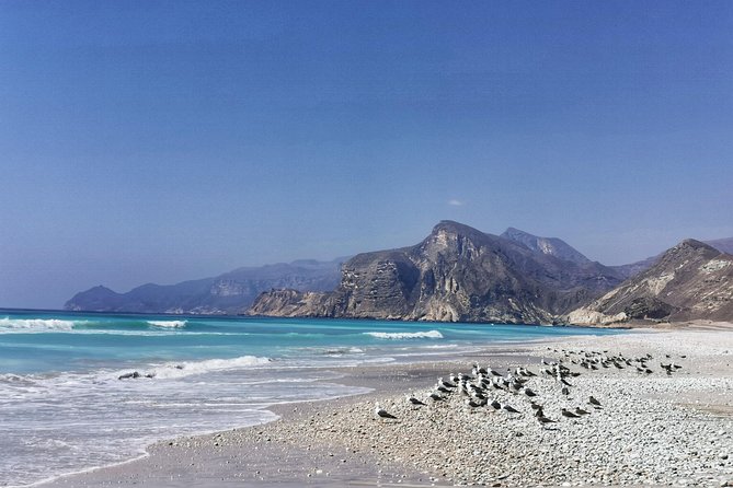 8 Hours of West Salalah Best | Private Tour - Frankincense trees in their natural setting