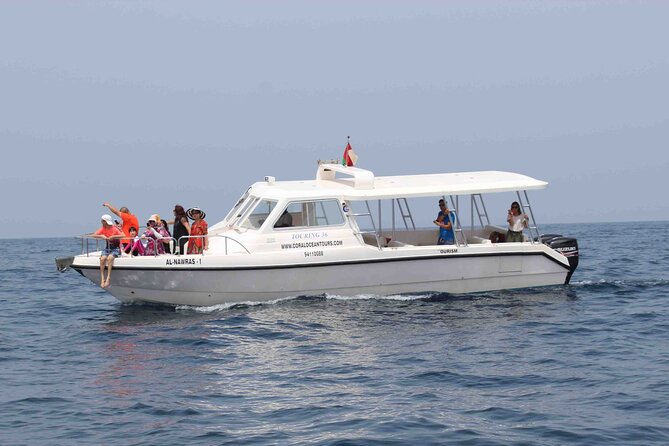 Amazing Dolphin Watching Tour In Muscat - What the boat experience is really like
