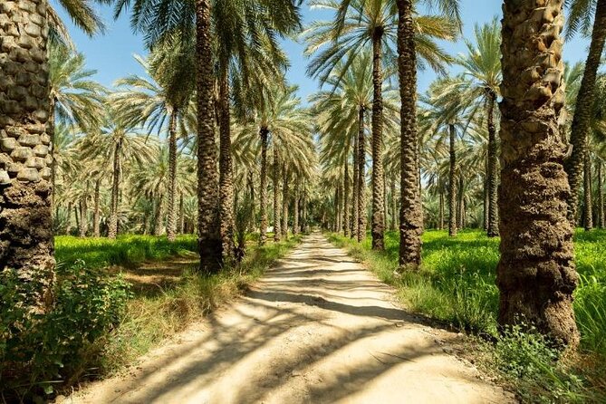 Amouage & Nizwa Full-Day Tour: Fort, Souq & Barakat Al Mouz - Shopping and local color at Nizwa Souq