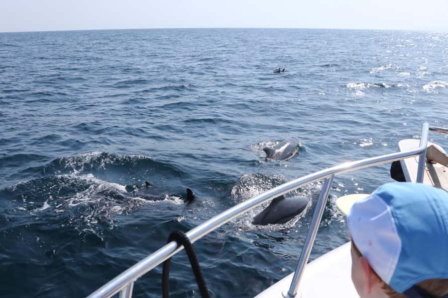 Bandar Al Khayran Jorney: Group Tour with Snorkeling - Key points to know before booking