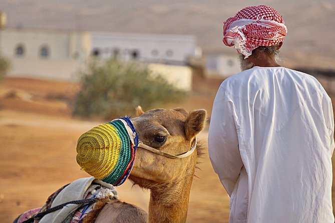 Bediyah: Camel Safari through the Wahiba Sands Desert - One hour across the Wahiba Sands
