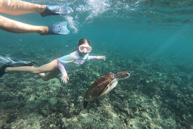 Cruises to Daymaniyat & Snorkeling - Who will enjoy this most