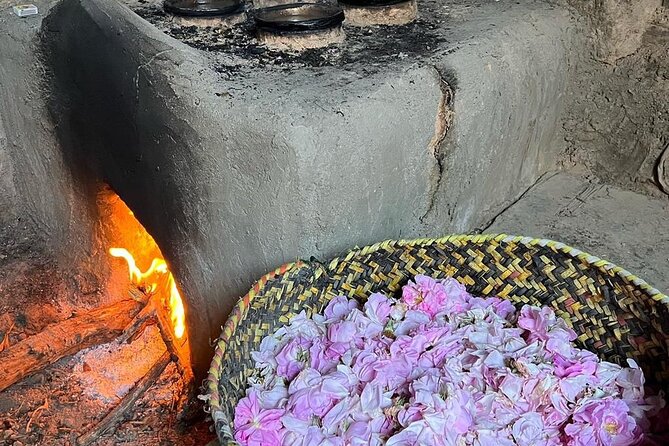 Damascus Roses - Discover the secrets of Al Jabal Al Akhdhar - Why Jabal Akhdar gives the rose tour its character
