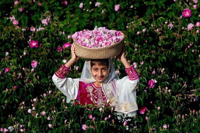 Damascus Roses - Discover the secrets of Al Jabal Al Akhdhar - Walking through Damascus rose gardens