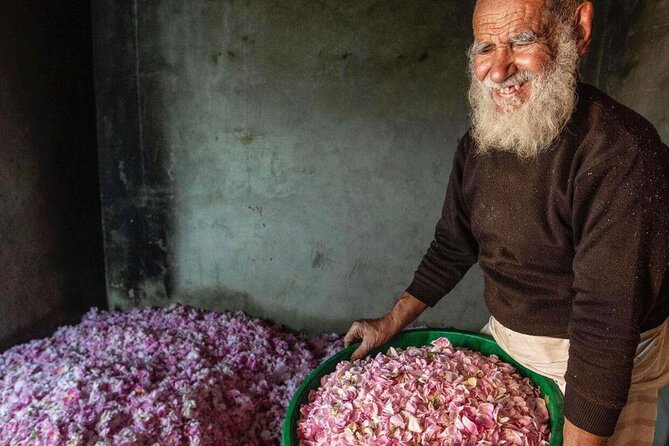 Damascus Roses - Discover the secrets of Al Jabal Al Akhdhar - Ancient fossils and a different side of the mountain