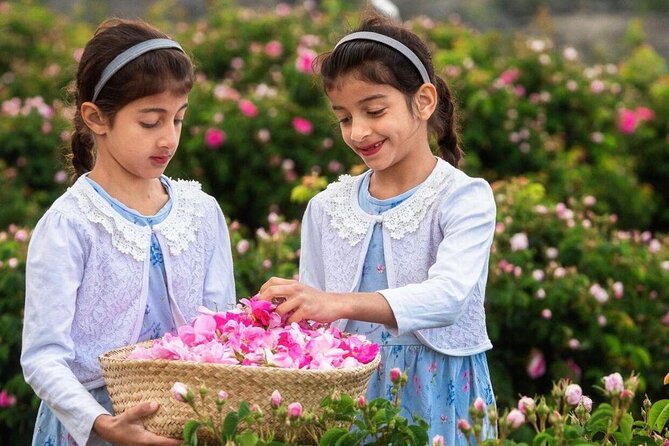 Damascus Roses - Discover the secrets of Al Jabal Al Akhdhar - Who will enjoy this four-hour outing