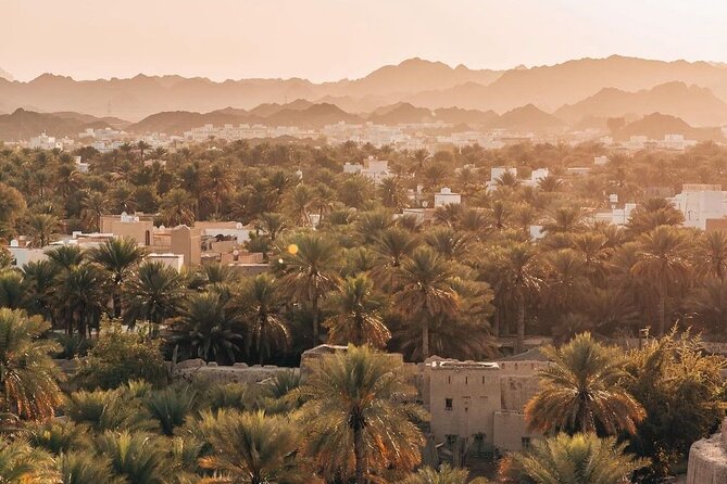 Day Tour to the Enchanting Forts of Nizwa - Nizwa Souq, silver, pottery, and browsing time