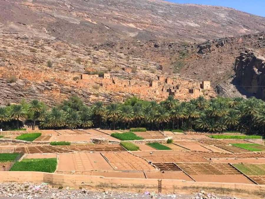 Day Trip to Jabal Shams, Wadi Nakhar, Misfat Al Abriyeen - Key points to know before booking