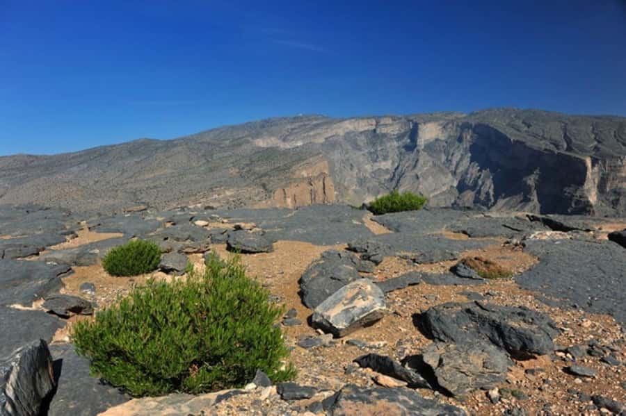 Day Trip to Jabal Shams, Wadi Nakhar, Misfat Al Abriyeen - Who should book this Oman mountain day trip?