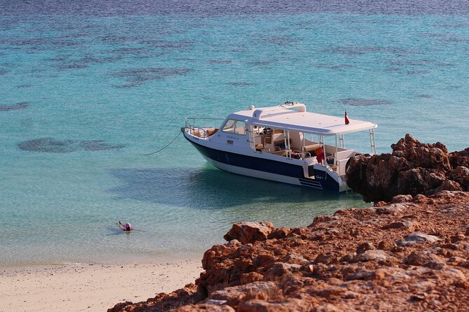 Daymaniyat island Natural Reserve and Dolphin Watching - Why Daymaniyat works as a full-day sea outing
