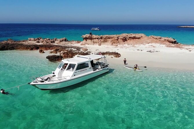 Daymaniyat island Natural Reserve and Dolphin Watching - Dolphin and whale watching on the ride out