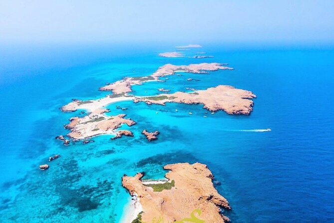 Daymaniyat island Natural Reserve and Dolphin Watching - The first snorkeling stop and underwater life
