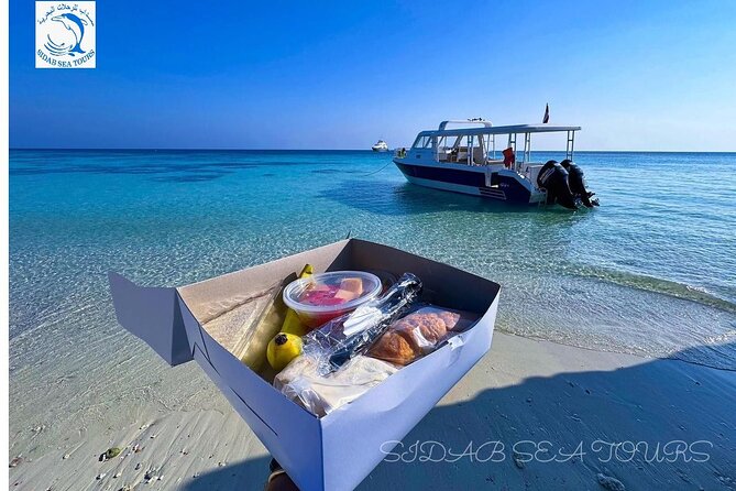 Daymaniyat island Natural Reserve and Dolphin Watching - The second snorkeling stop