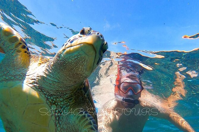 Daymaniyat island Natural Reserve and Dolphin Watching - Starting at Marina Bandar Al Rowdha at 8:30 a.m.