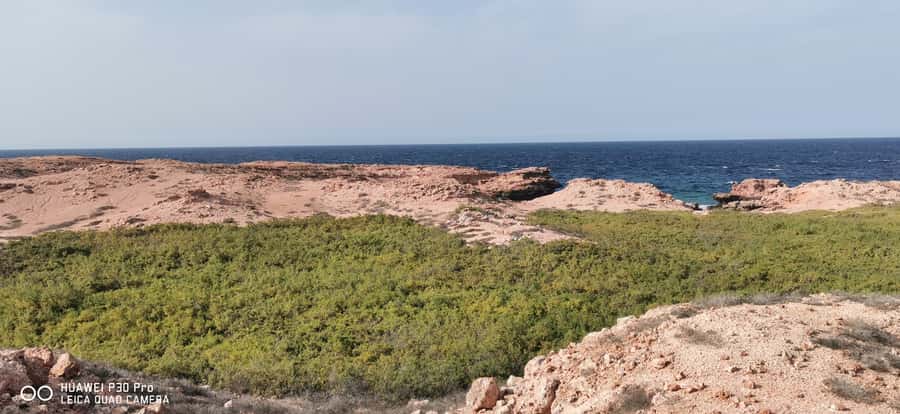 Daymaniyat Island: Snorkelling Tour with Tasty Lunch - What the crew does well