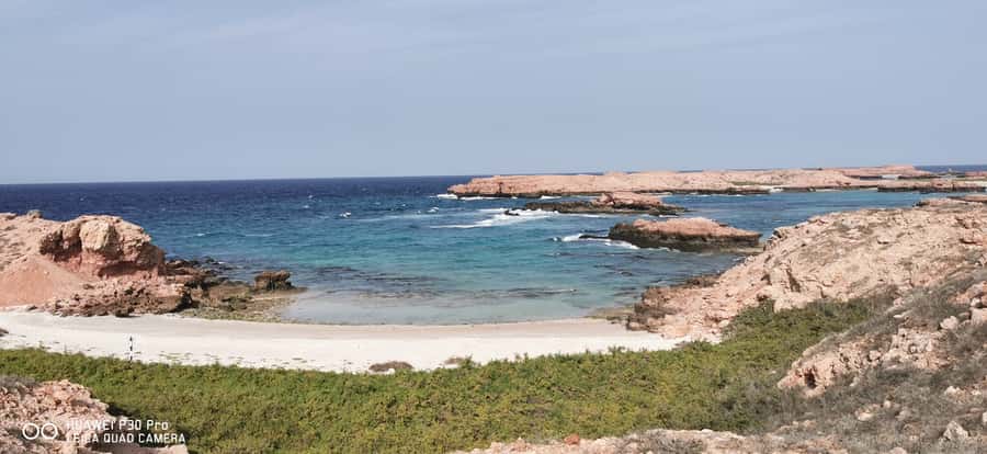 Daymaniyat Island: Snorkelling Tour with Tasty Lunch - Who will enjoy this trip most