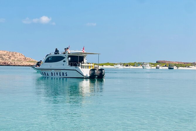 Daymaniyat Islands Snorkeling 2 different snorkeling sites and Lunch included - Key points to know before you book