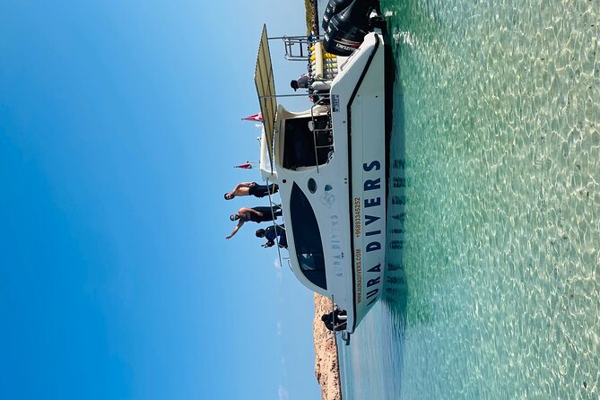 Daymaniyat Islands Snorkeling 2 different snorkeling sites and Lunch included - Leaving Al Mouj Marina at 8 a.m.