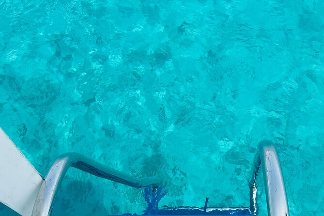Daymaniyat Islands Snorkeling 2 different snorkeling sites and Lunch included - Is $100 a fair price?