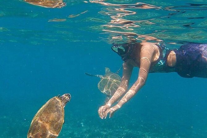 Daymaniyat Islands Snorkeling Half-Day Tour - Key details before you book