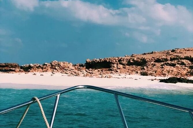 Daymaniyat Islands Snorkeling Half-Day Tour - What to expect at the snorkeling stops