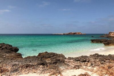 Daymaniyat Islands Snorkeling Half-Day Tour