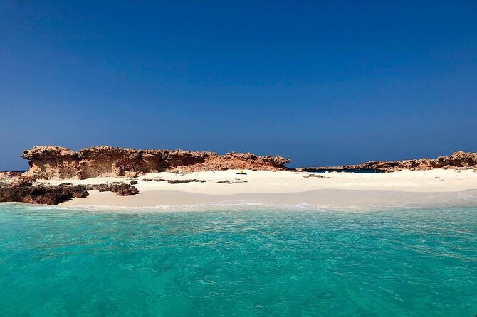 Daymaniyat Islands Snorkeling Half-Day Tour - Equipment, refreshments, and onboard comfort