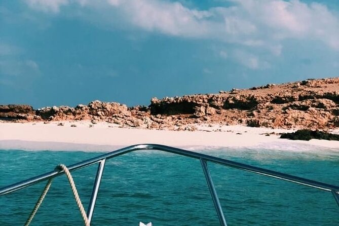 Daymaniyat Islands Snorkeling Half-Day Tour - Is $200 a fair price?