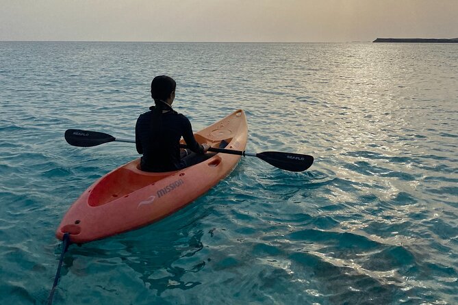 Daymaniyat Islands Snorkeling Sharing Trip - Leaving Al Mouj Marina at 8:00 a.m.